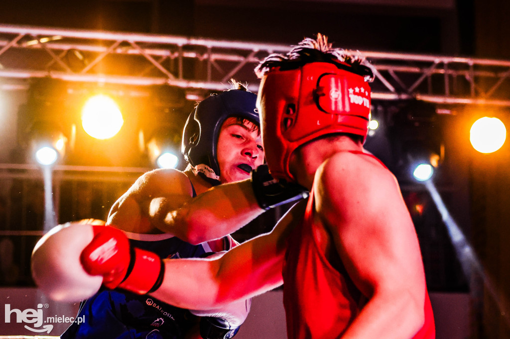 MSB Region Boxing Cup