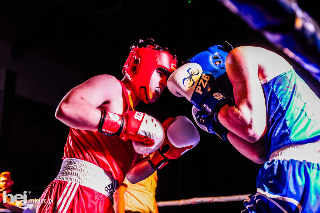 MSB Region Boxing Cup