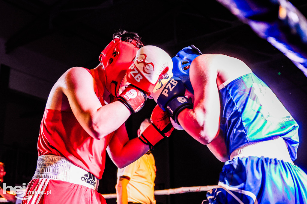 MSB Region Boxing Cup