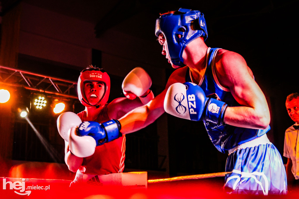 MSB Region Boxing Cup