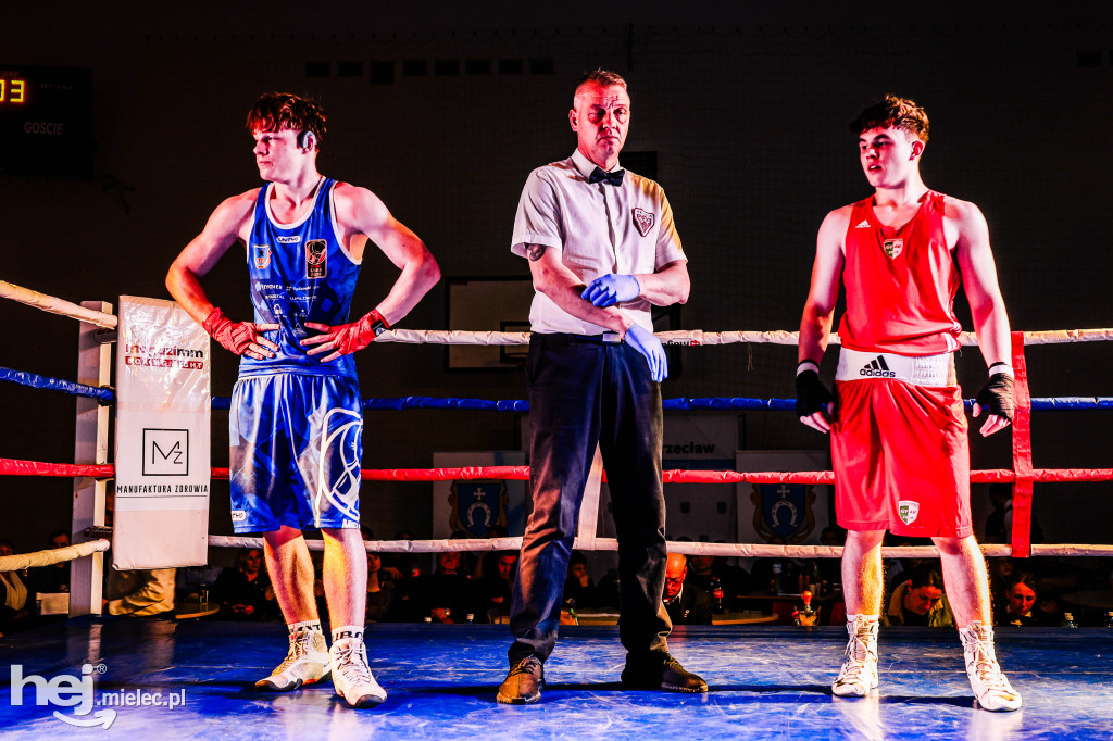 MSB Region Boxing Cup