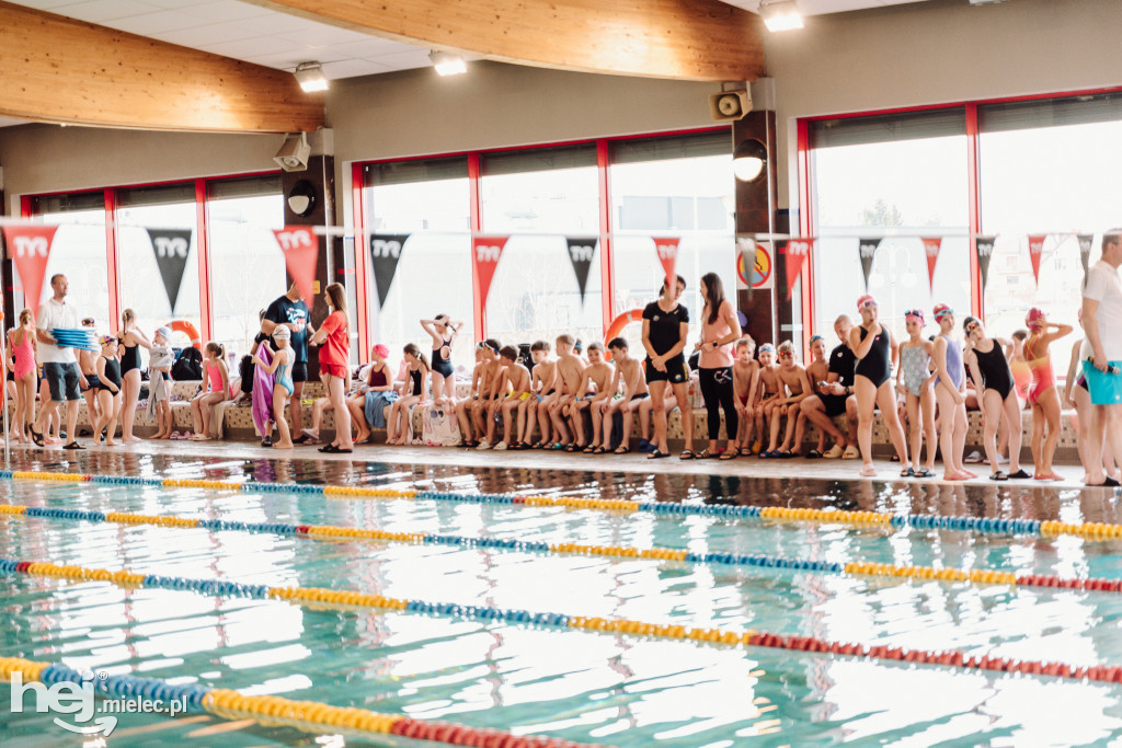 Wiosenne zmagania na Pływalni Smoczka