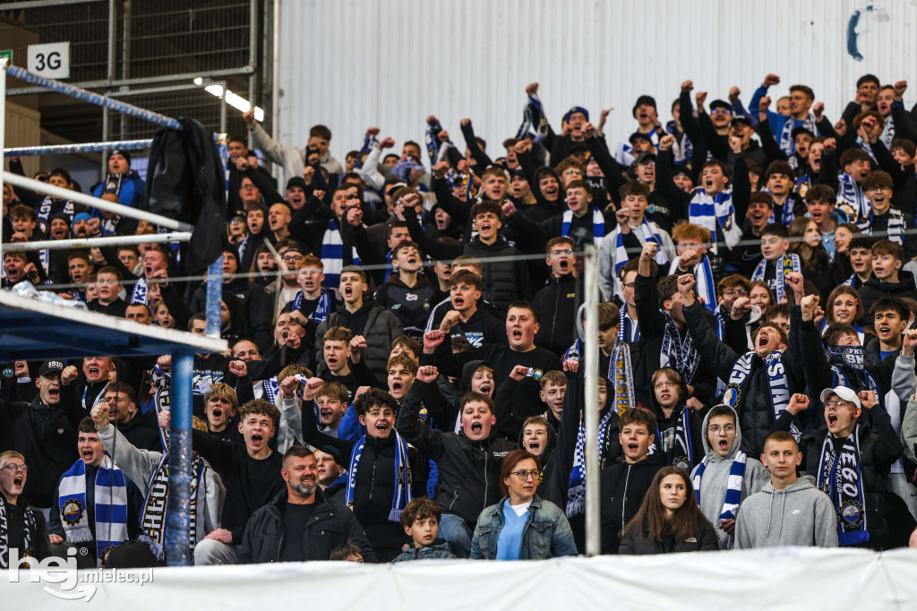 FKS Stal Mielec - Stal Rzeszów [KIBICE]