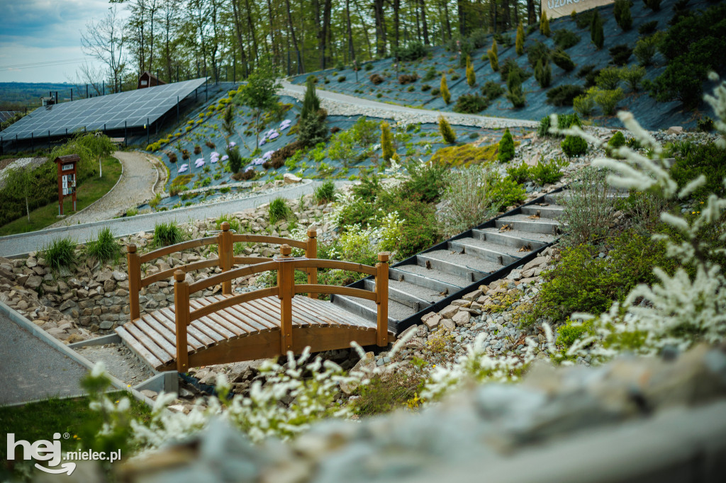 Uzdrowisko Latoszyn inauguruje sezon wiosenno-letni