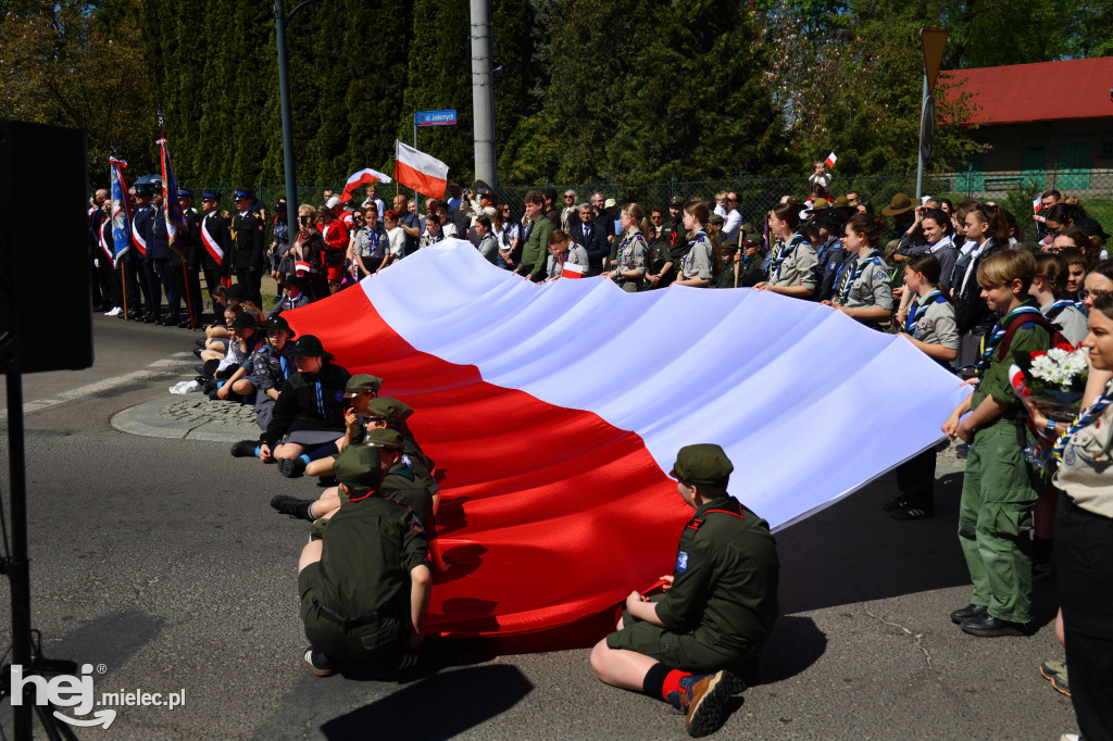 Obchody Konstytucji 3 Maja