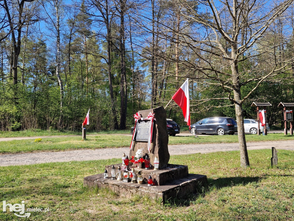 Mielec uczcił Dzień Flagi