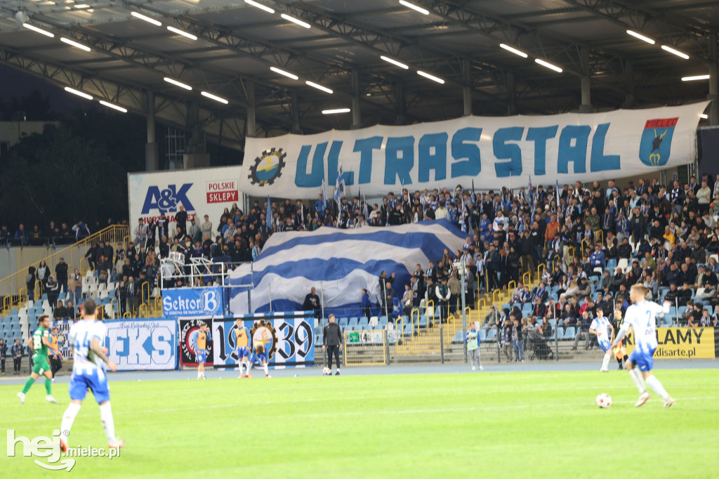 Stal Mielec - Puszcza Niepołomice [KIBICE]