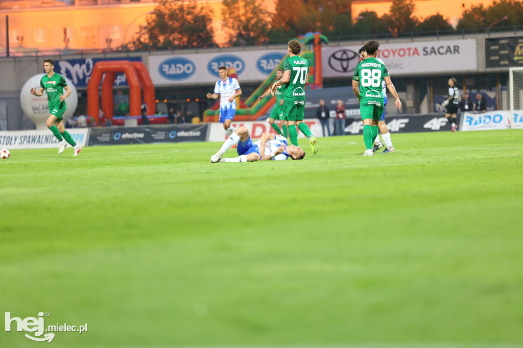 Stal Mielec - Puszcza Niepołomice [KIBICE]