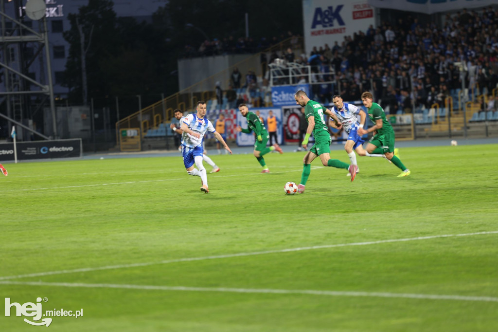 Stal Mielec - Puszcza Niepołomice [KIBICE]