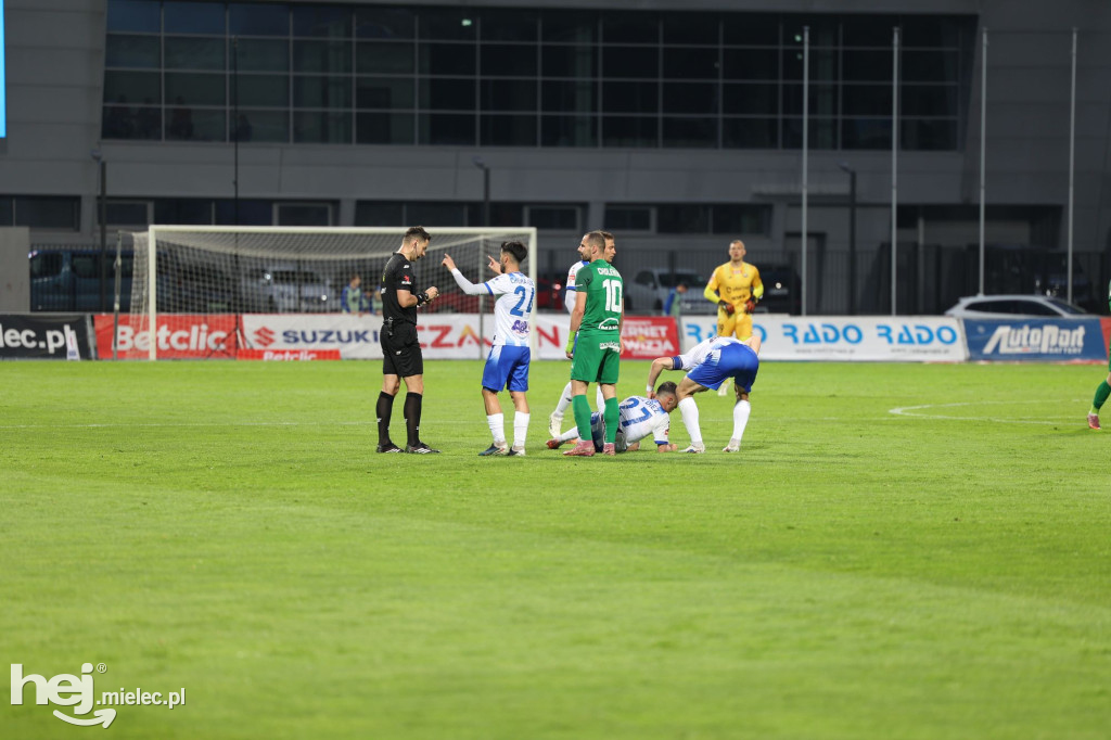 Stal Mielec - Puszcza Niepołomice [KIBICE]