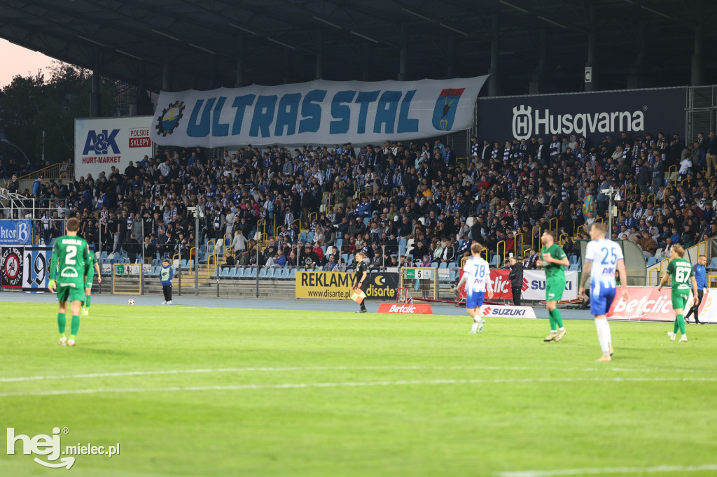 Stal Mielec - Puszcza Niepołomice [KIBICE]