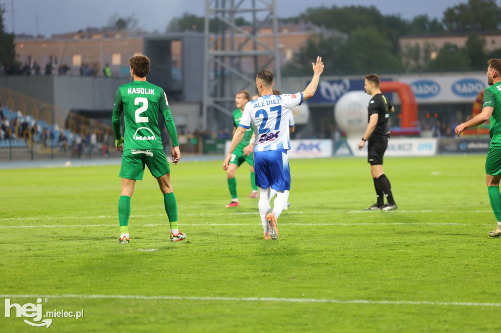 Stal Mielec - Puszcza Niepołomice [KIBICE]