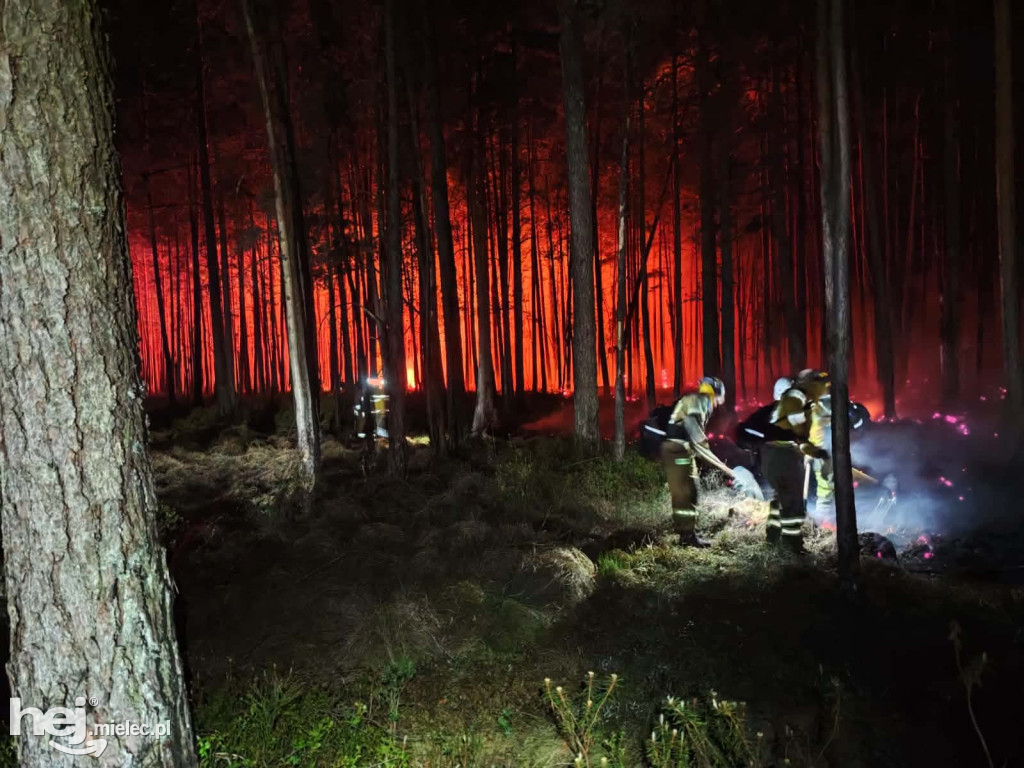 Mieleccy strażacy wrócili z akcji w płonącej Puszczy Solskiej