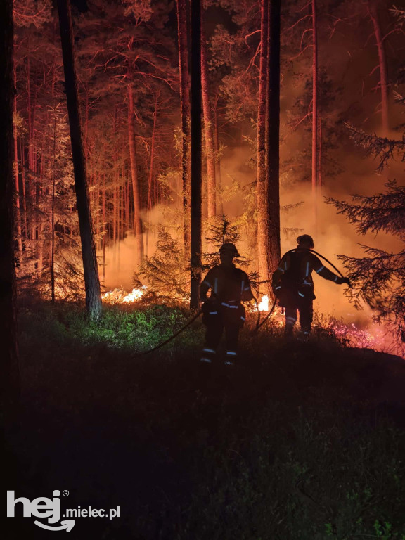 Mieleccy strażacy wrócili z akcji w płonącej Puszczy Solskiej