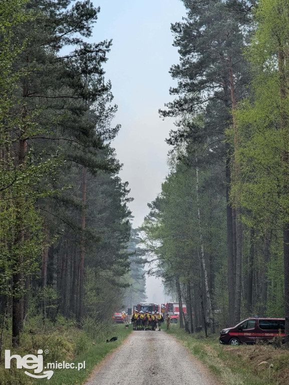Mieleccy strażacy wrócili z akcji w płonącej Puszczy Solskiej