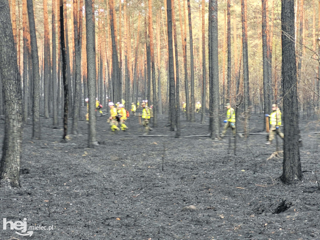 Mieleccy strażacy wrócili z akcji w płonącej Puszczy Solskiej