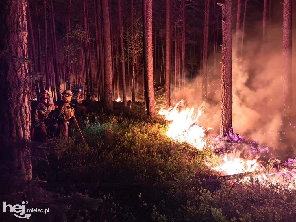 Mieleccy strażacy wrócili z akcji w płonącej Puszczy Solskiej