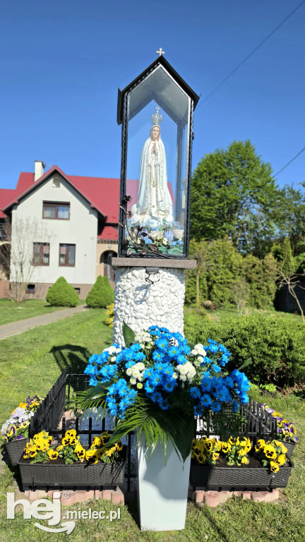 Z wdzięczności za zdrowie. Wyjątkowa kapliczka w Babichy