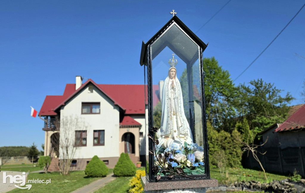 Z wdzięczności za zdrowie. Wyjątkowa kapliczka w Babichy