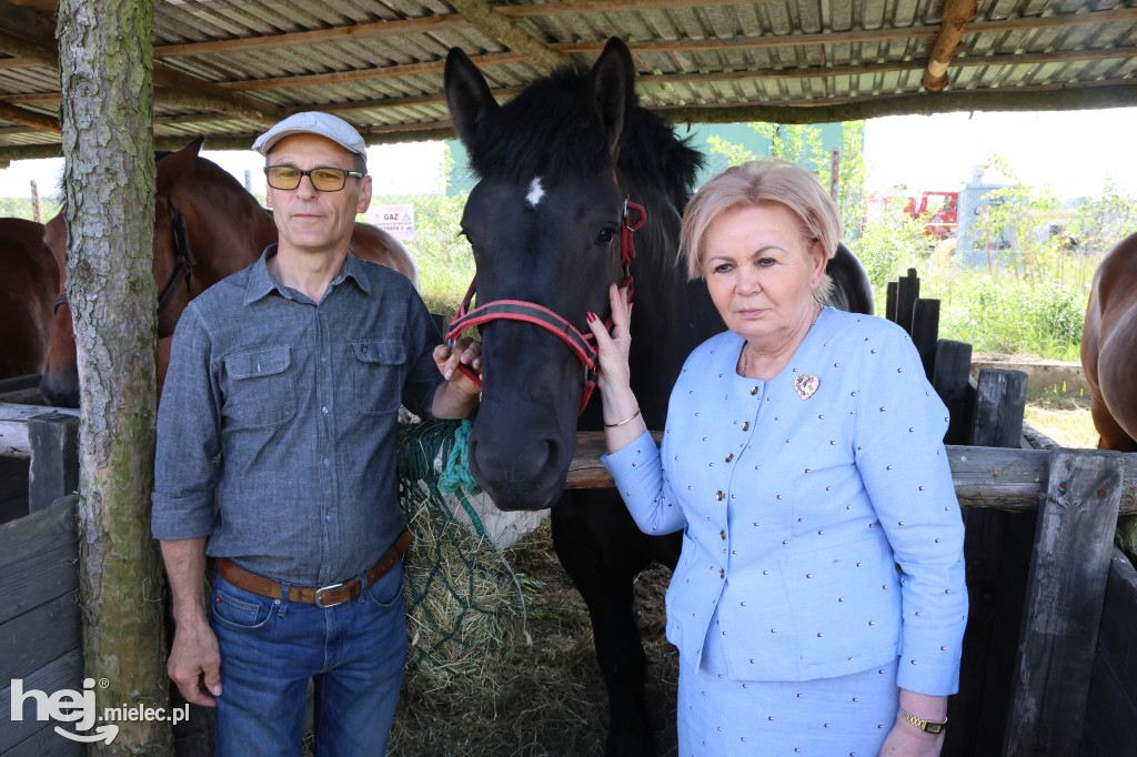 XVII Parada Konna w Żarówce