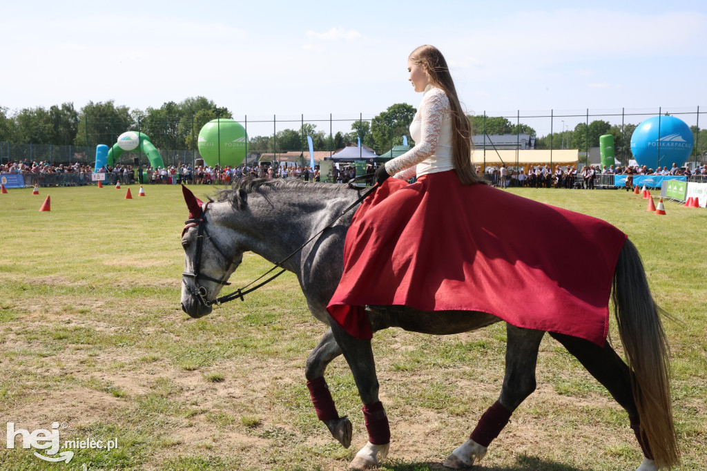 XVII Parada Konna w Żarówce