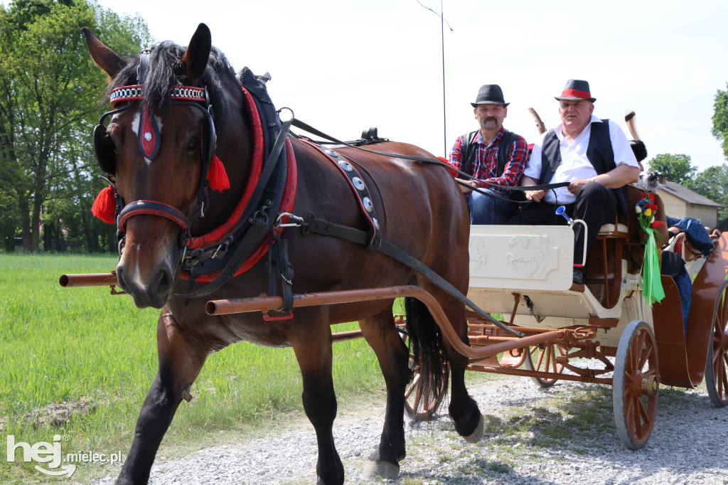 Parada Konna w Żarówce przyciągnęła tłumy