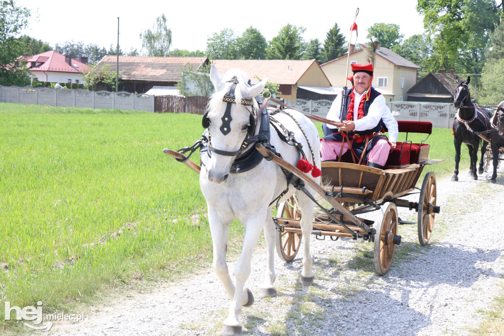 Parada Konna w Żarówce przyciągnęła tłumy