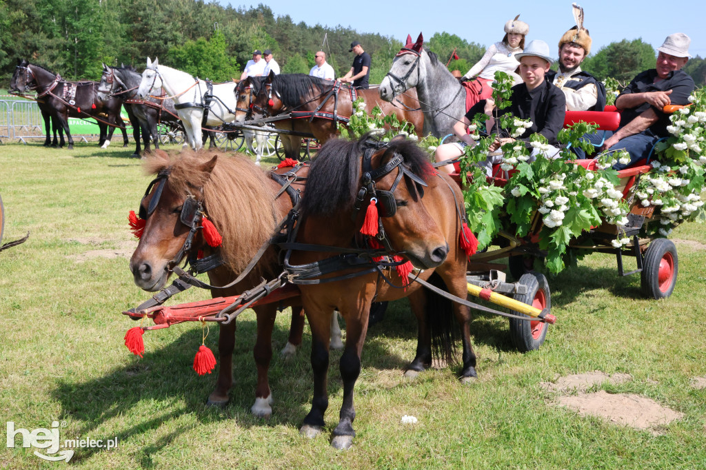 Parada Konna w Żarówce przyciągnęła tłumy