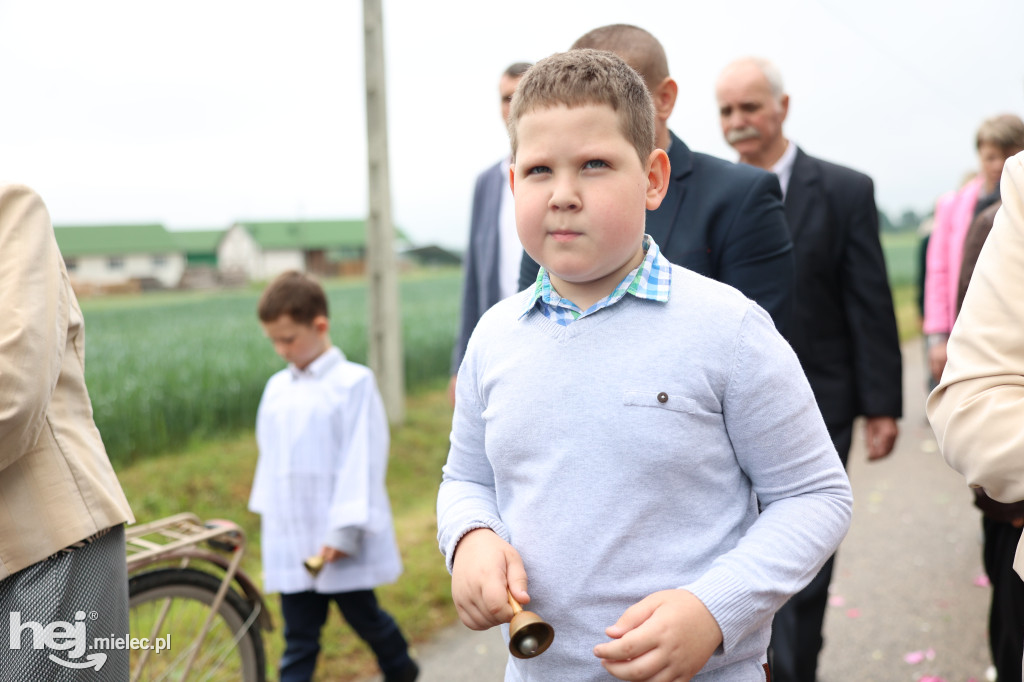 Procesja w miejscowości Rożniaty