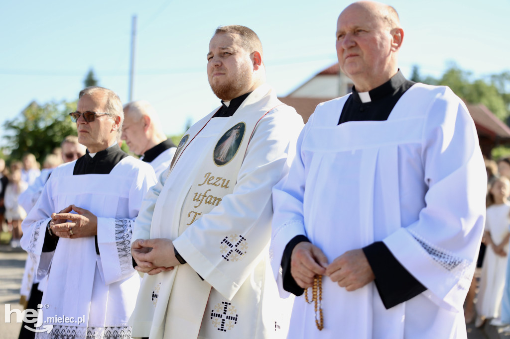 Jezus Miłosierny przybył do Gawłuszowic