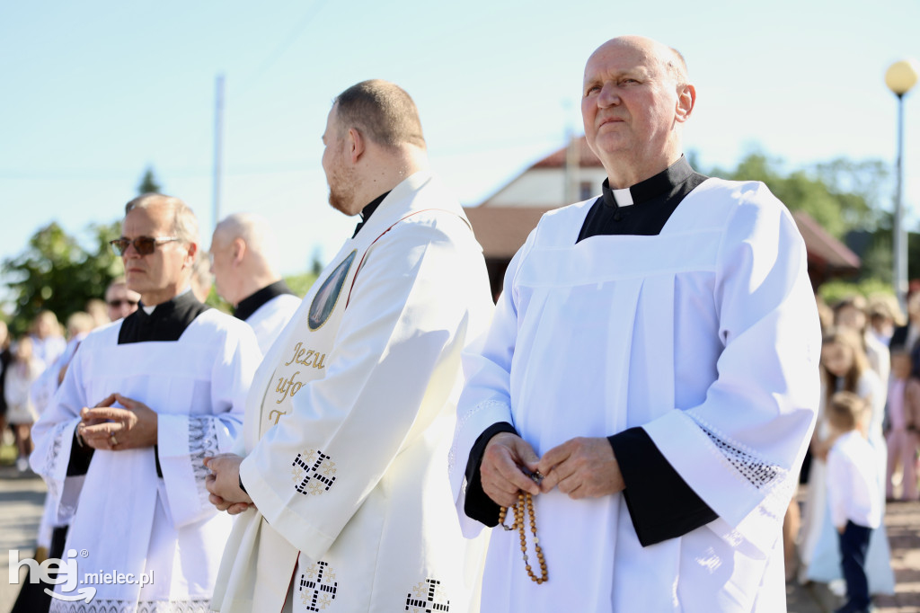 Jezus Miłosierny przybył do Gawłuszowic