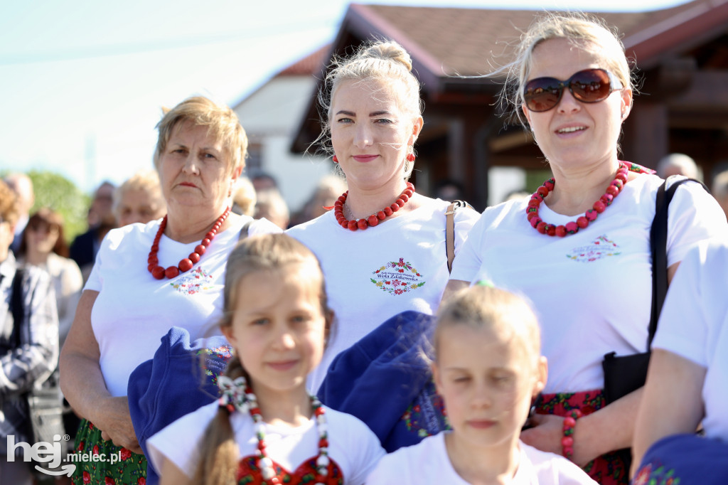 Jezus Miłosierny przybył do Gawłuszowic