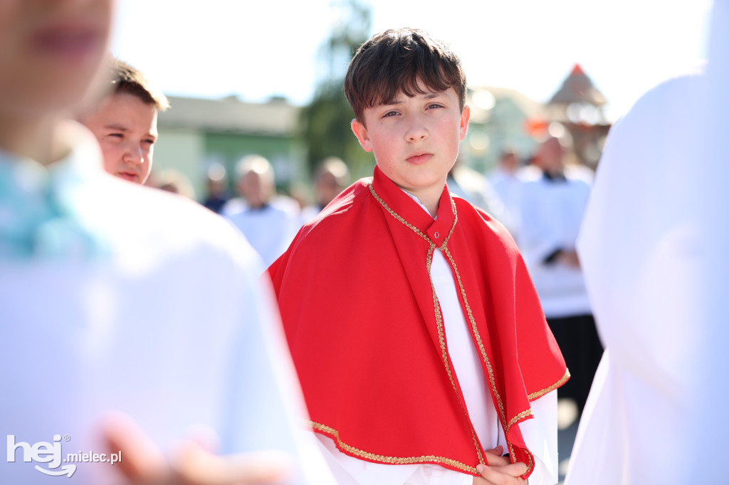 Jezus Miłosierny przybył do Gawłuszowic