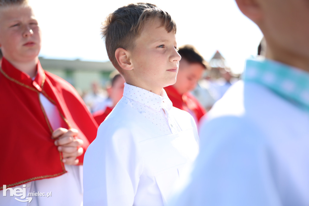 Jezus Miłosierny przybył do Gawłuszowic