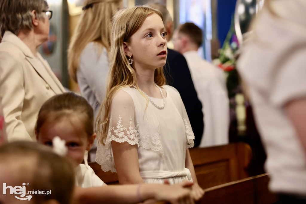 Jezus Miłosierny przybył do Gawłuszowic
