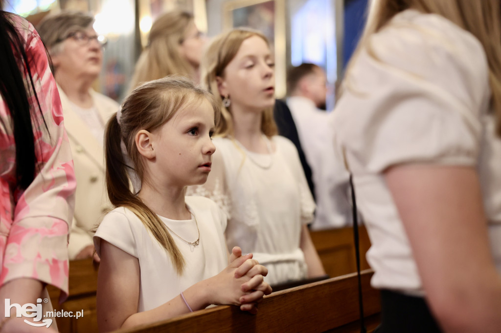 Jezus Miłosierny przybył do Gawłuszowic