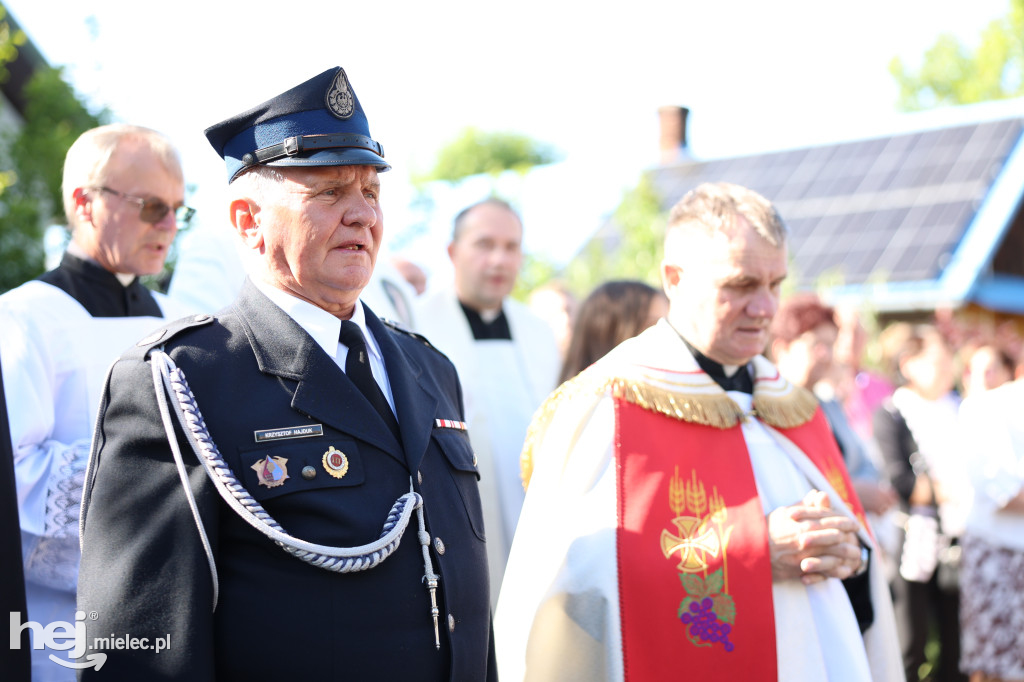 Borki Nizińskie na trasie peregrynacji obrazu Jezusa Miłosiernego