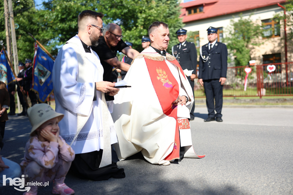 Borki Nizińskie na trasie peregrynacji obrazu Jezusa Miłosiernego