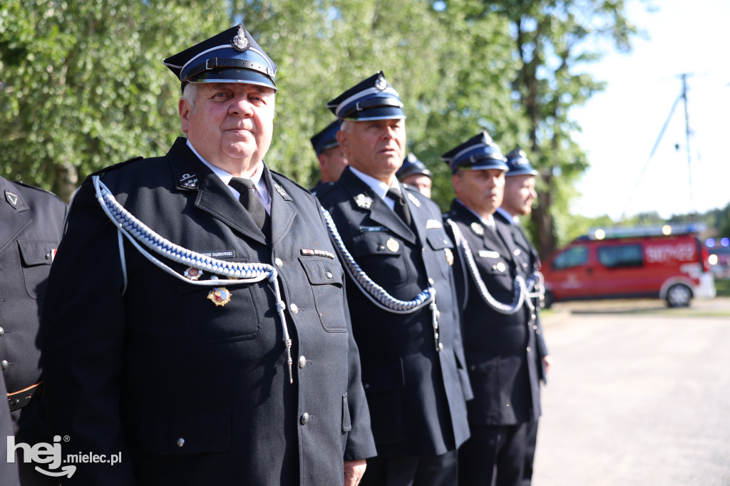 Borki Nizińskie na trasie peregrynacji obrazu Jezusa Miłosiernego