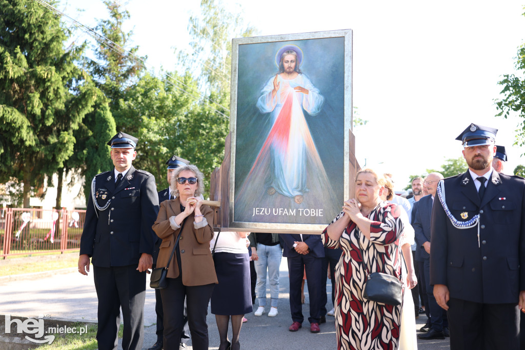Borki Nizińskie na trasie peregrynacji obrazu Jezusa Miłosiernego