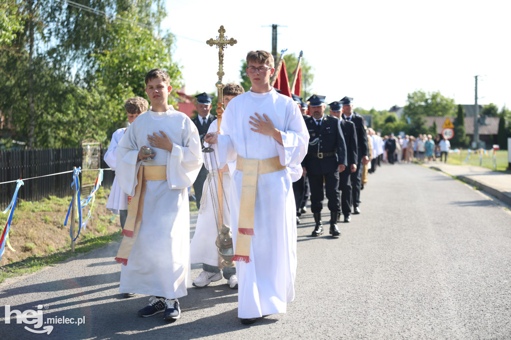 Borki Nizińskie na trasie peregrynacji obrazu Jezusa Miłosiernego