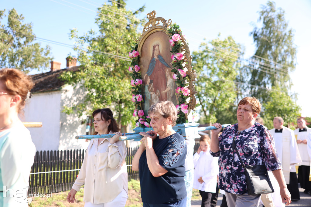 Borki Nizińskie na trasie peregrynacji obrazu Jezusa Miłosiernego