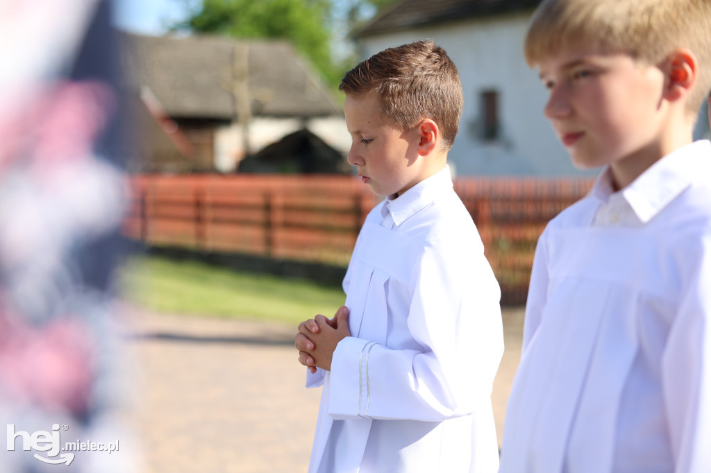 Borki Nizińskie na trasie peregrynacji obrazu Jezusa Miłosiernego