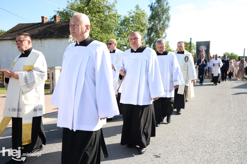 Borki Nizińskie na trasie peregrynacji obrazu Jezusa Miłosiernego