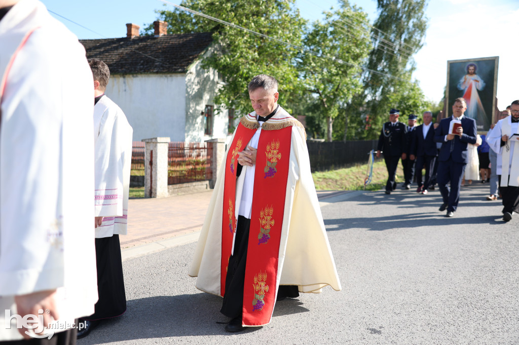 Borki Nizińskie na trasie peregrynacji obrazu Jezusa Miłosiernego