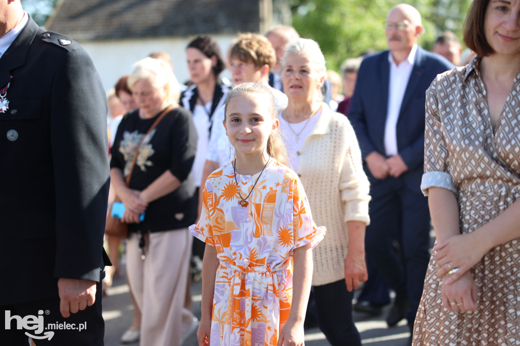 Borki Nizińskie na trasie peregrynacji obrazu Jezusa Miłosiernego