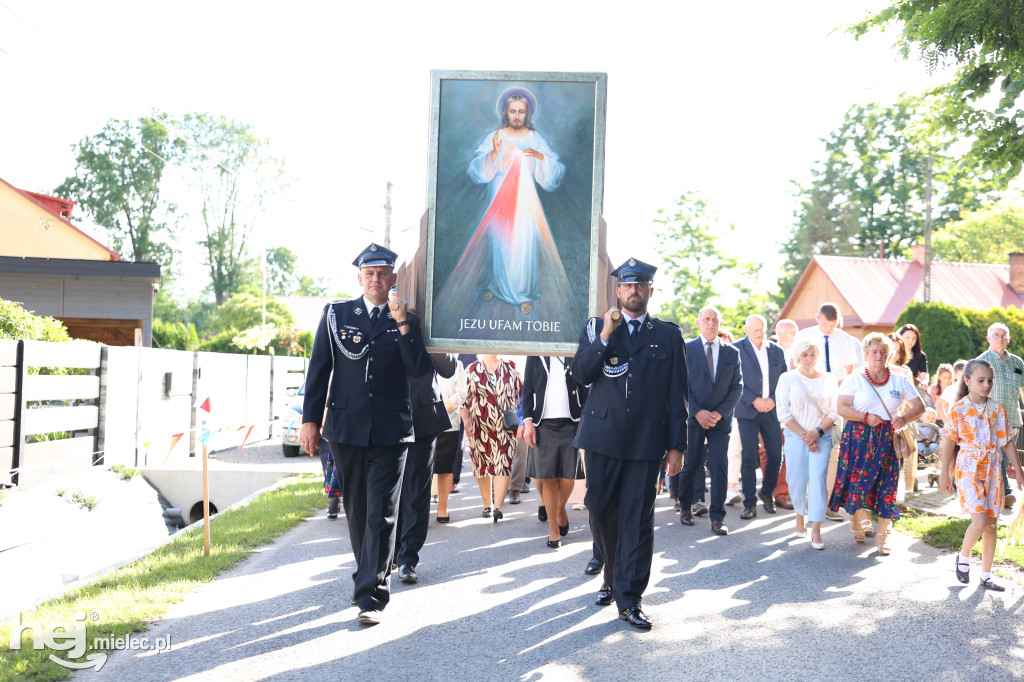 Borki Nizińskie na trasie peregrynacji obrazu Jezusa Miłosiernego