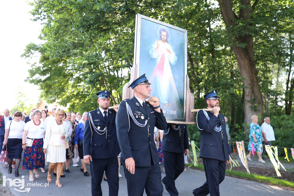 Borki Nizińskie na trasie peregrynacji obrazu Jezusa Miłosiernego