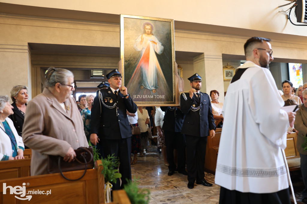 Borki Nizińskie na trasie peregrynacji obrazu Jezusa Miłosiernego