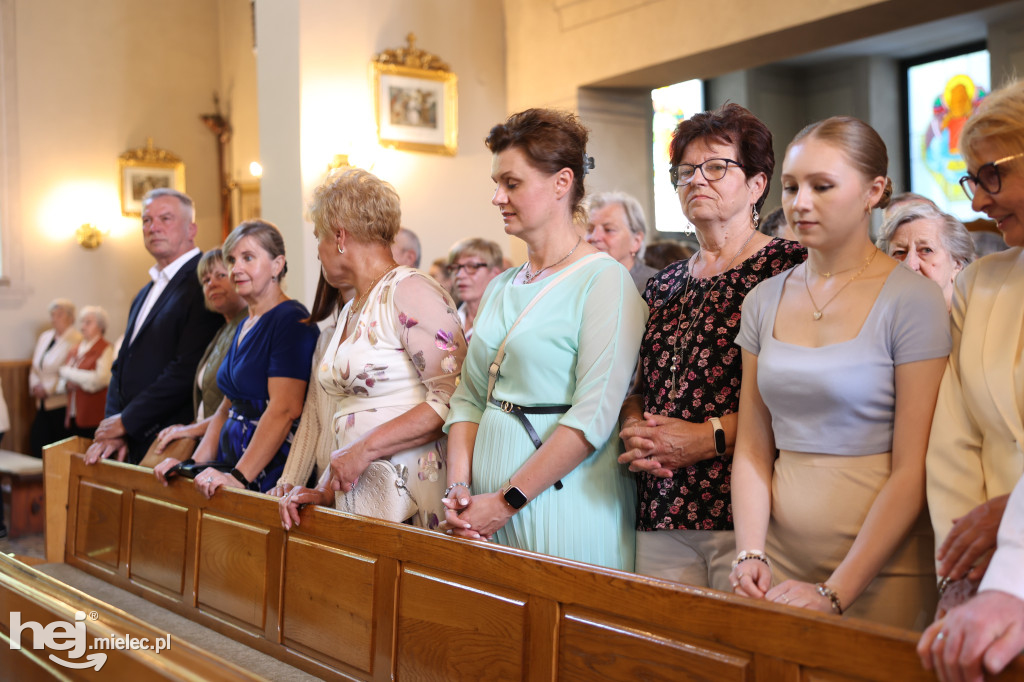 Borki Nizińskie na trasie peregrynacji obrazu Jezusa Miłosiernego